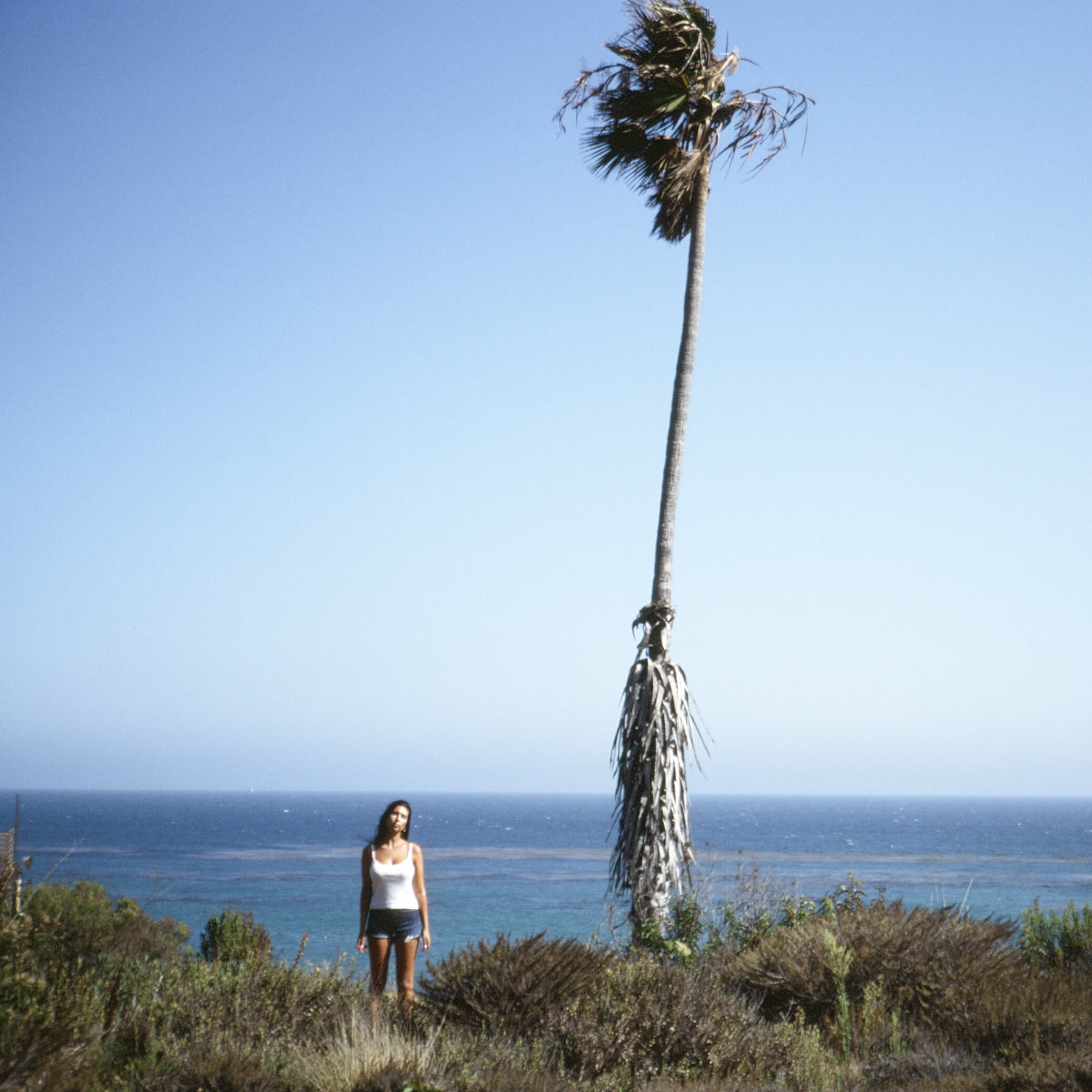 MALIBU — still 3