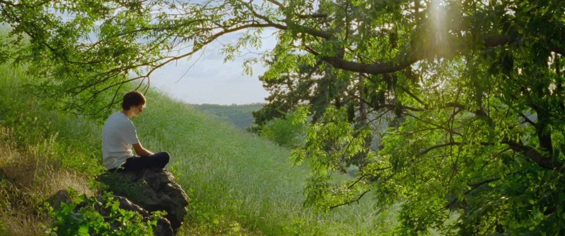 PICNIC V TRAVE — film still