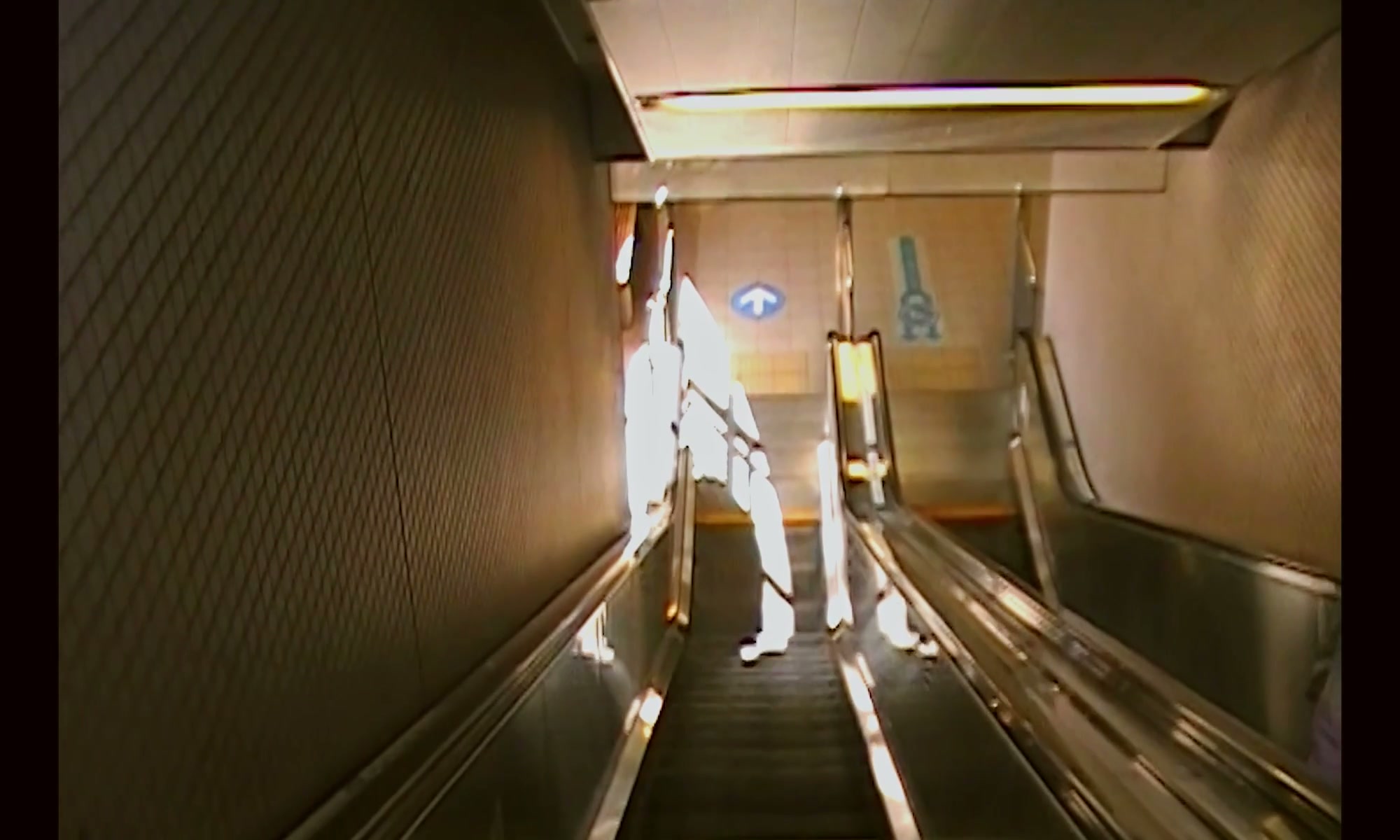 DOGWOOD — film still